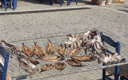 Sun dried fishes and octopus, Greek food, "mezedakia"
