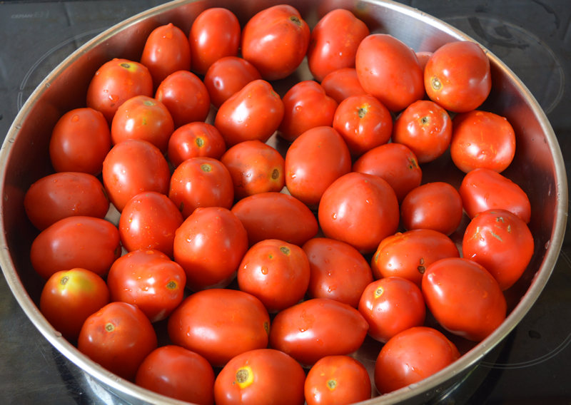 Greek Food, organic tomatoes