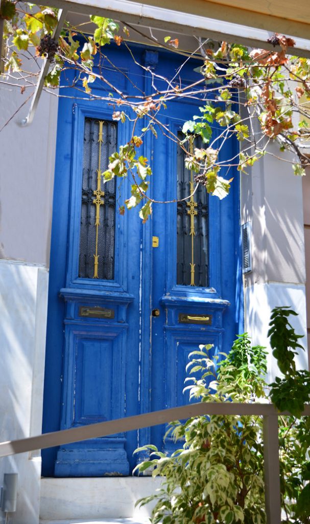 Vine Door in Greece