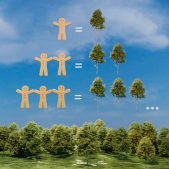 Breamen and reforestation concept. A tree for every guest, as a gift.